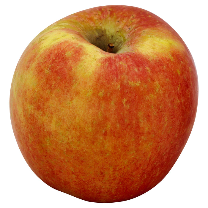 Honeycrisp Apple