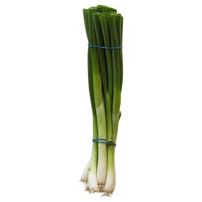 Scallions (Green Onions)