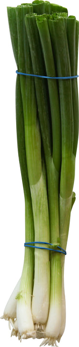Scallions (Green Onions)